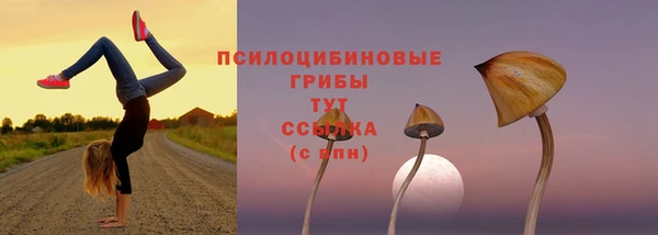 метадон Пересвет