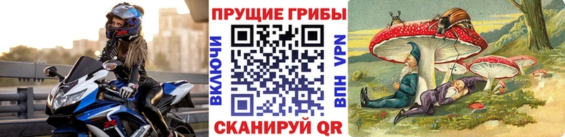 Галлюциногенные грибы прущие грибы Вязьма