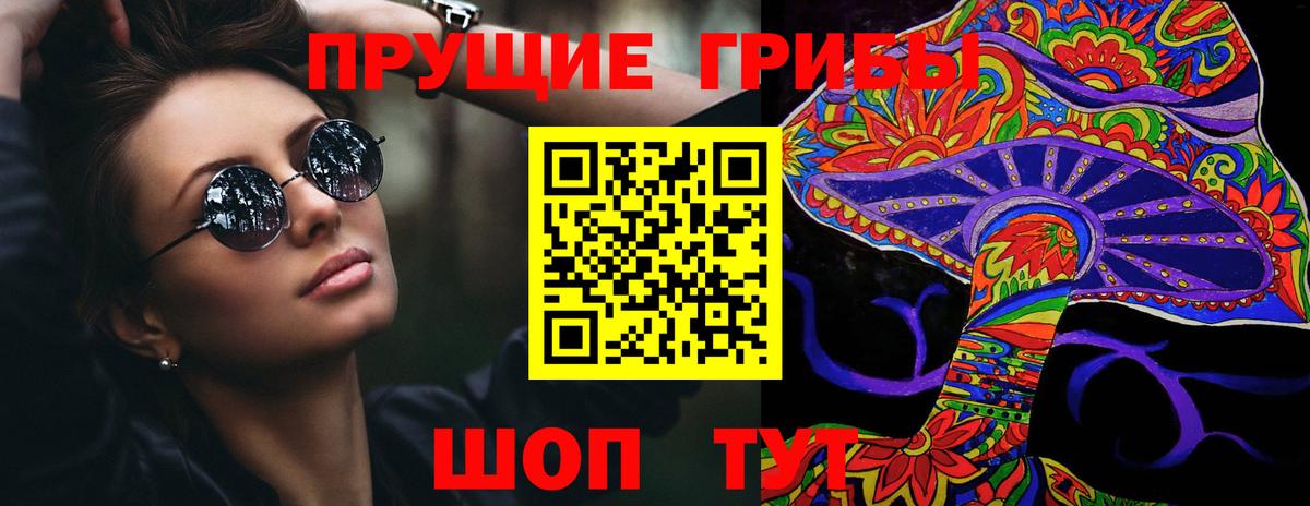 Псилоцибиновые грибы Psilocybine cubensis Вязьма